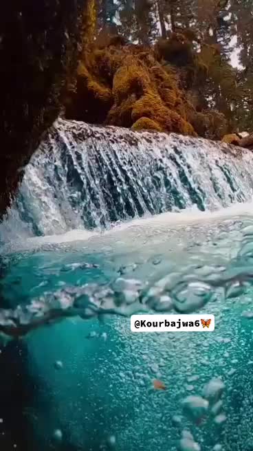 @جوت باجوہ 🥀