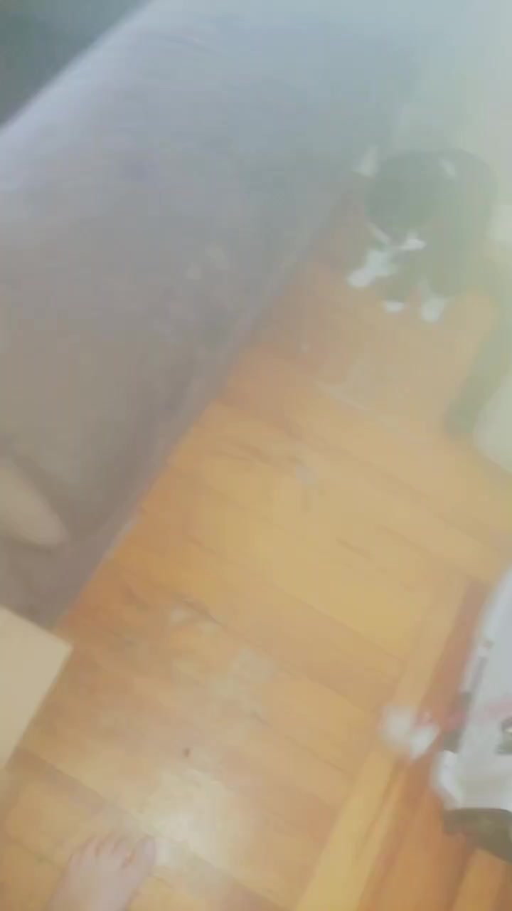 @kitten