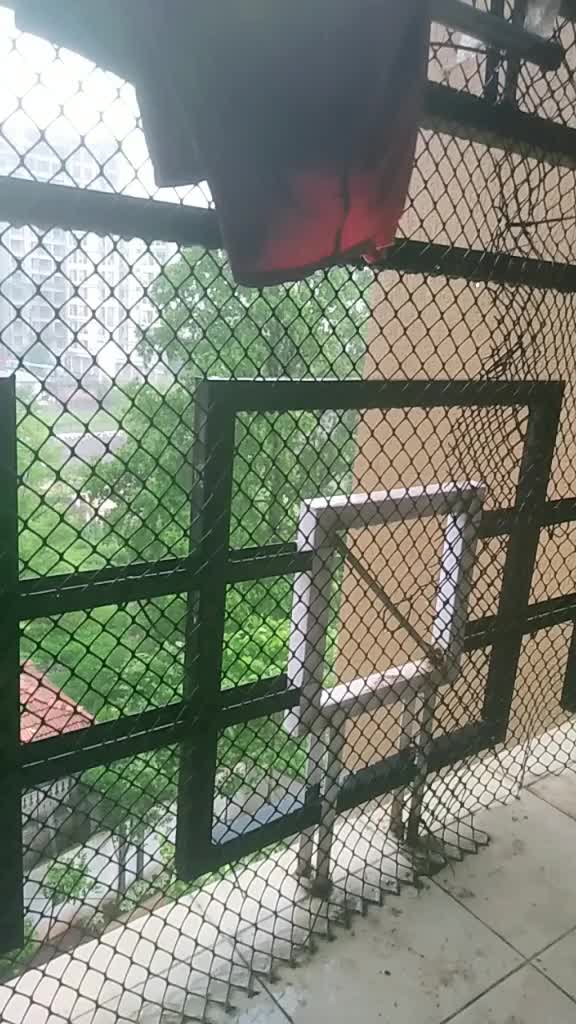 @Jyotika Singh