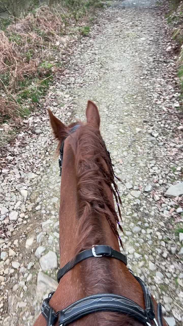 @Horses <3