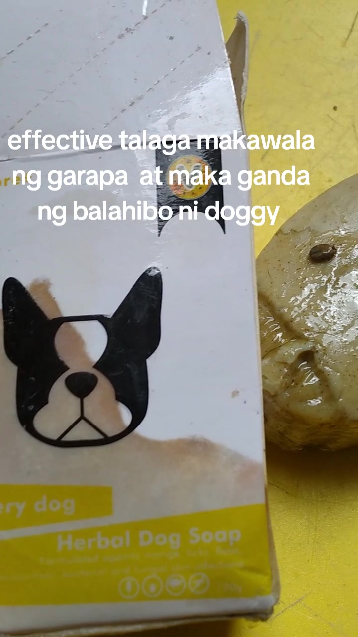 @chummyboyko