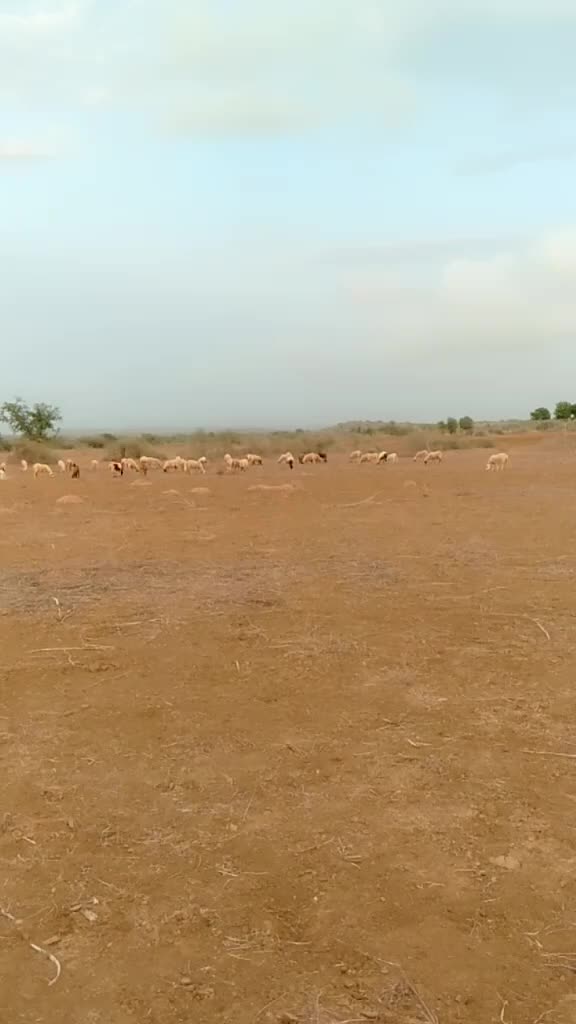 @SK___માલધારી