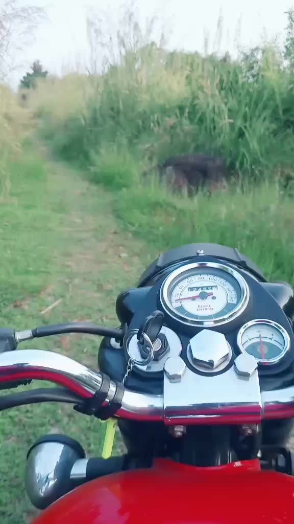@തനി മലയാളി😎
