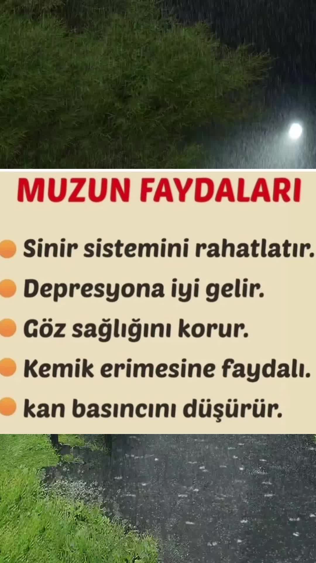 @bir_incitanesi