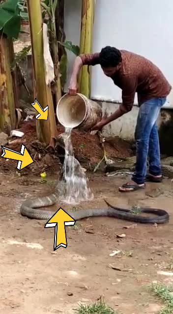 @user2247713593927