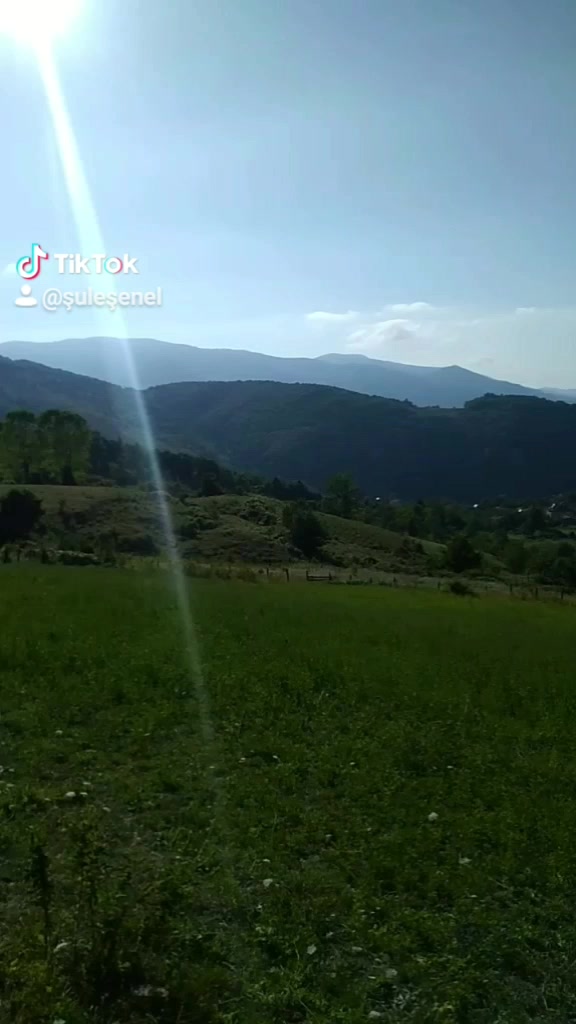 @Şule Şenel