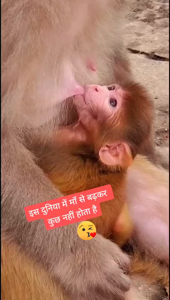 @Bijay kor