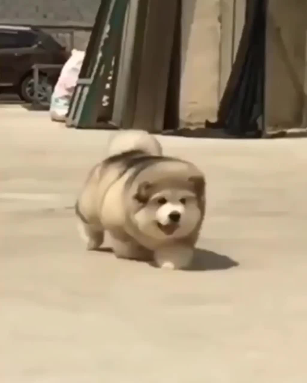 @husky.ranch