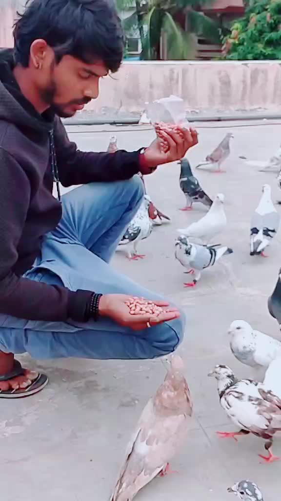 @@Đ75