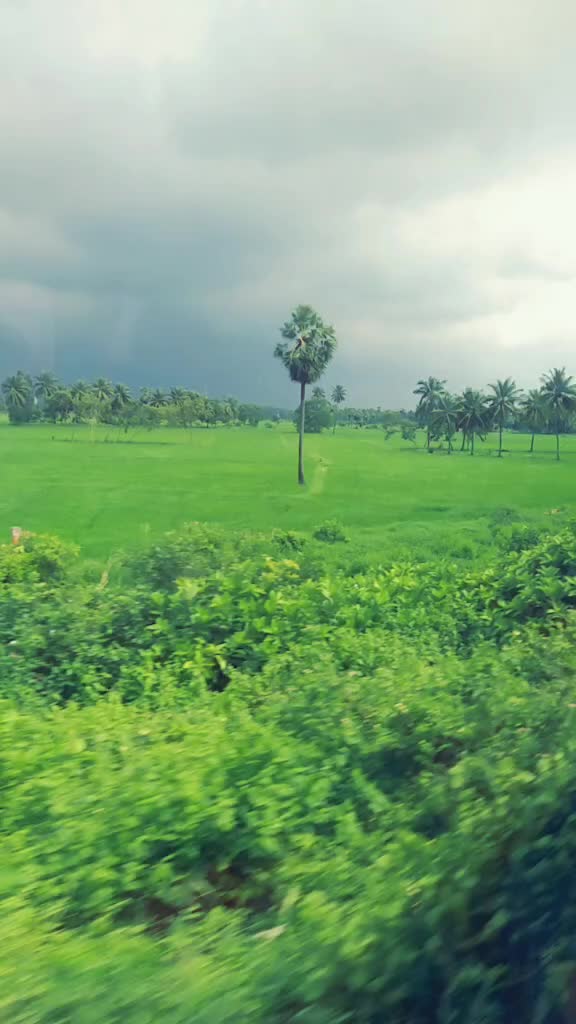 @Sashi Sukumarudu