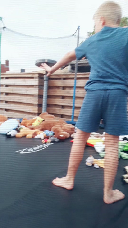 @LEGO