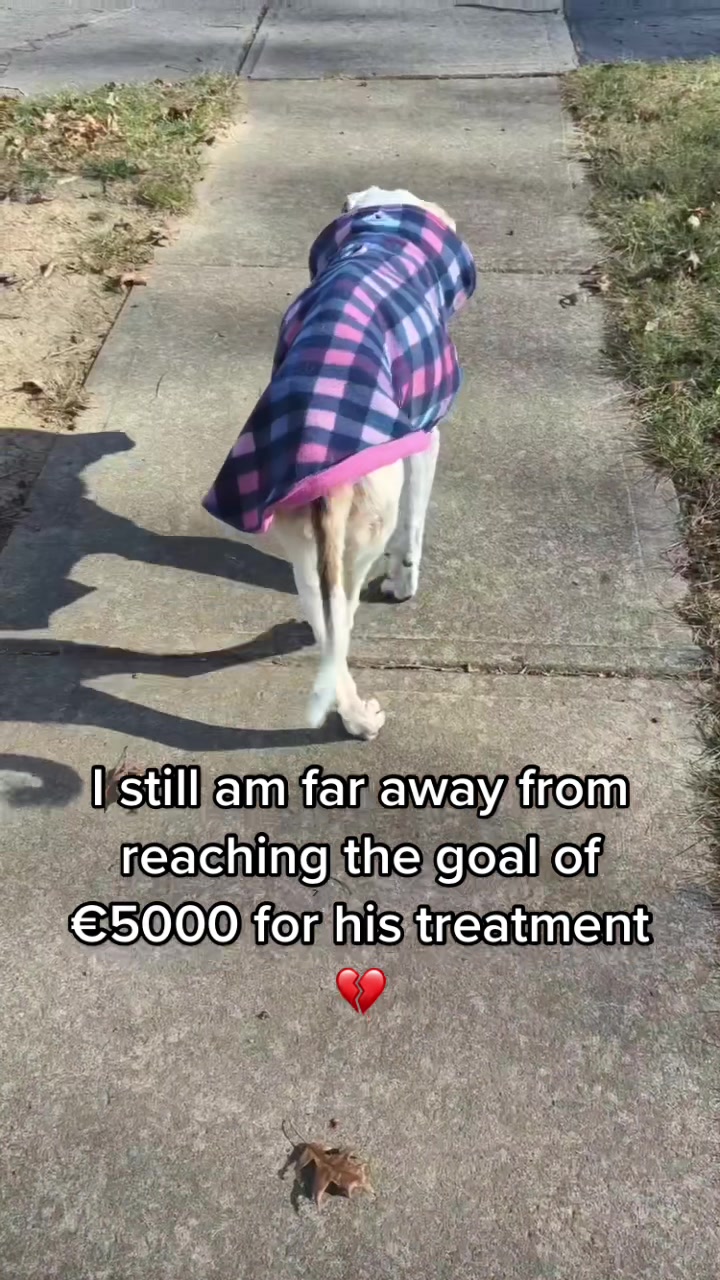 @PrayForCooper