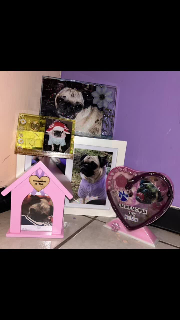 @En Memoria de Ninna Pug