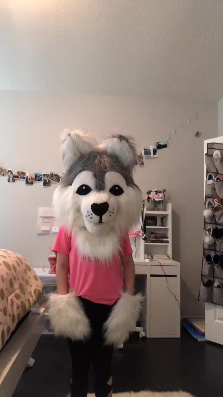 @fursuitwolf111