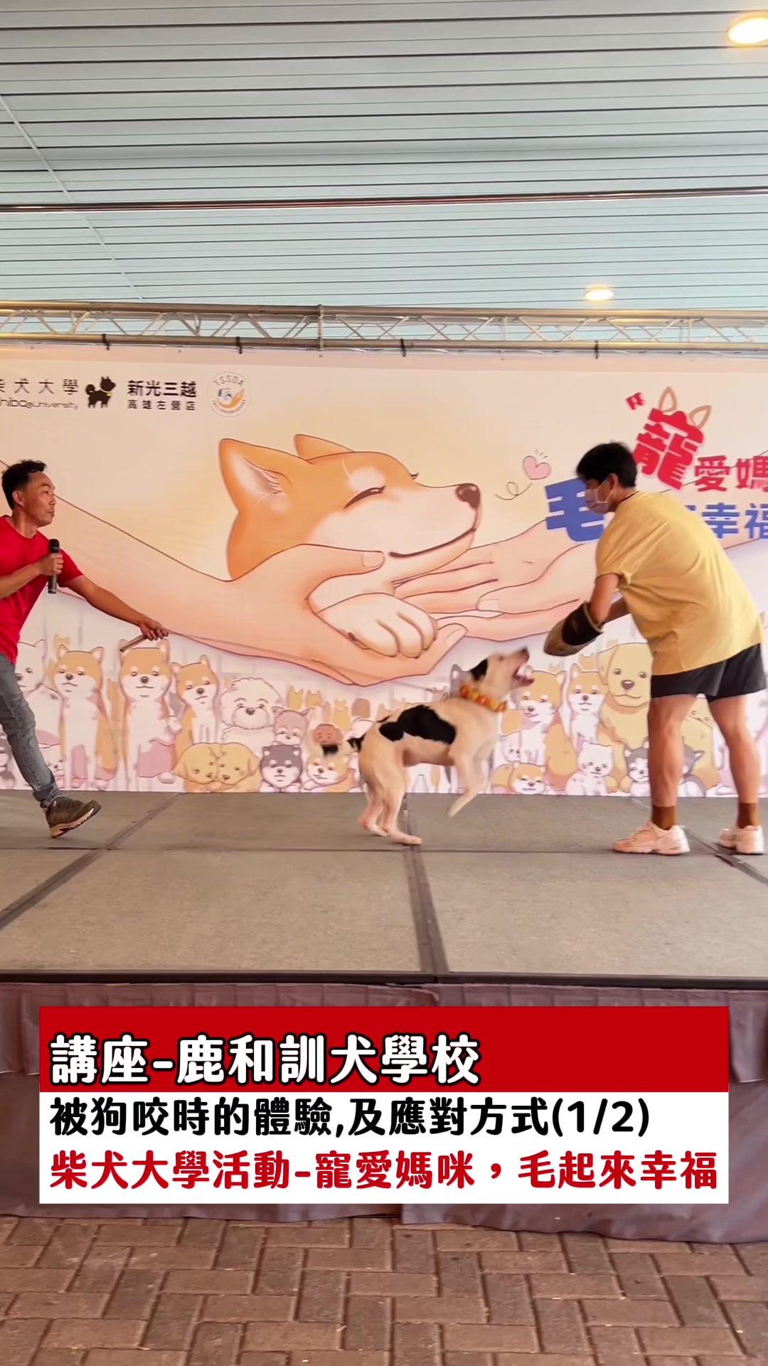 @口袋吃吃五十咩