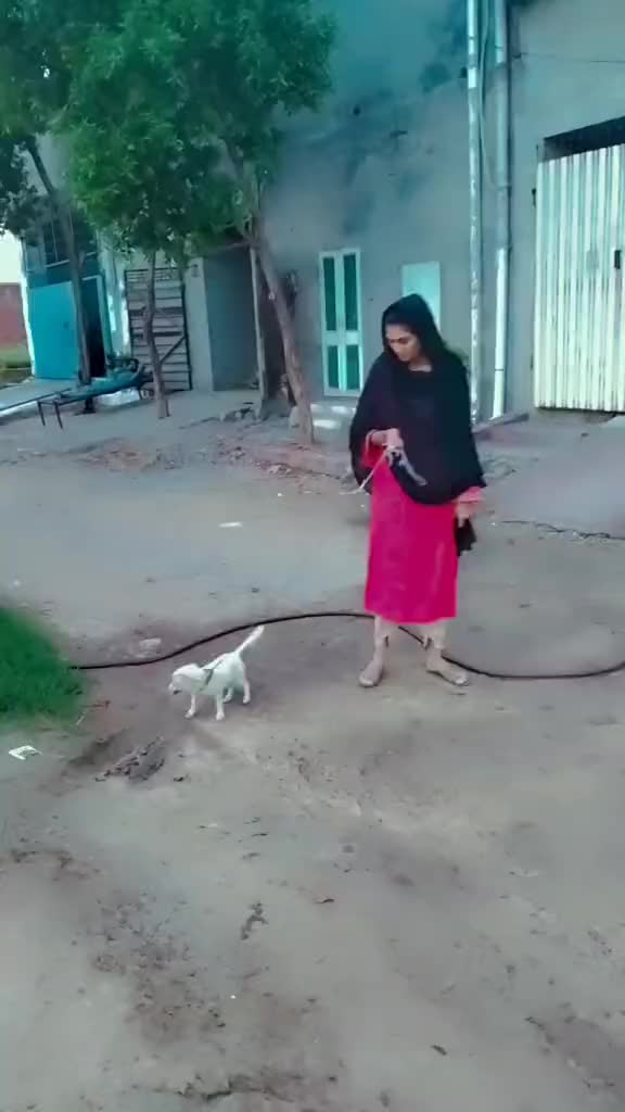@Hadiawan89🇵🇰