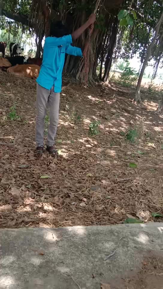 @Sathish Kumar