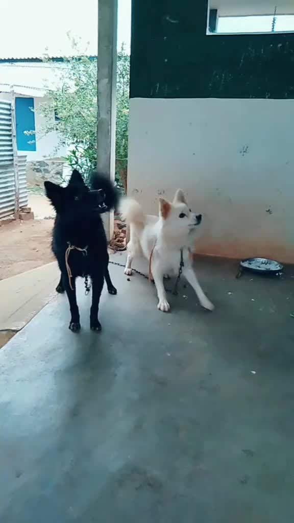 @sathish 💗 113912010