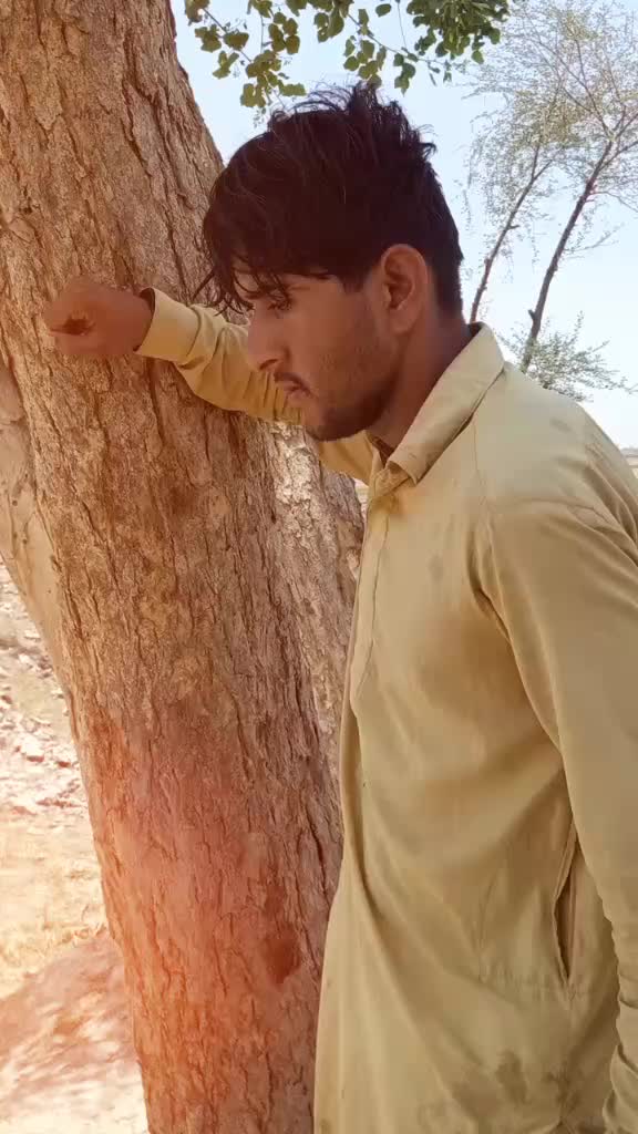 @Riaz Ali Khosa