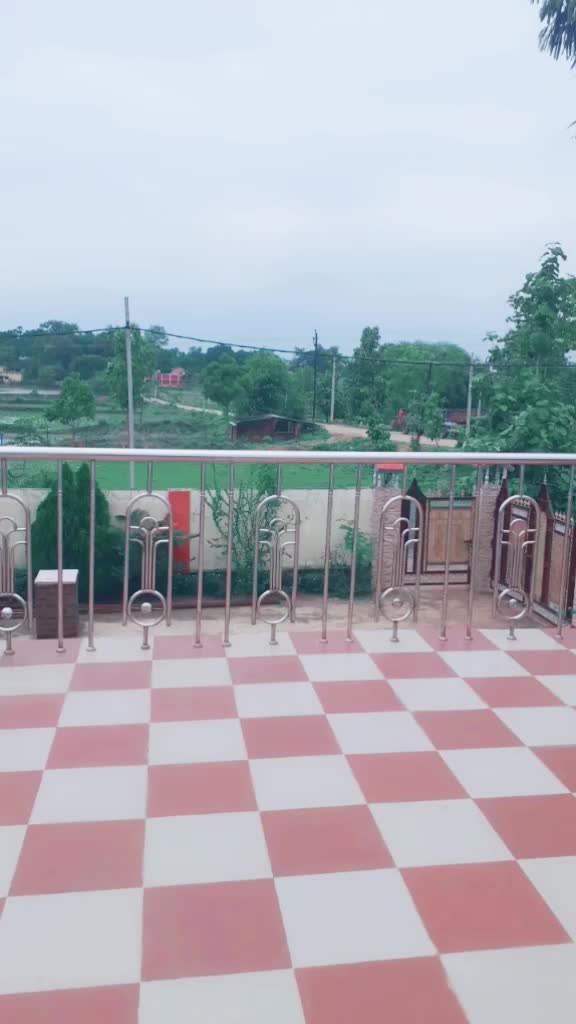 @balangir queen Titli