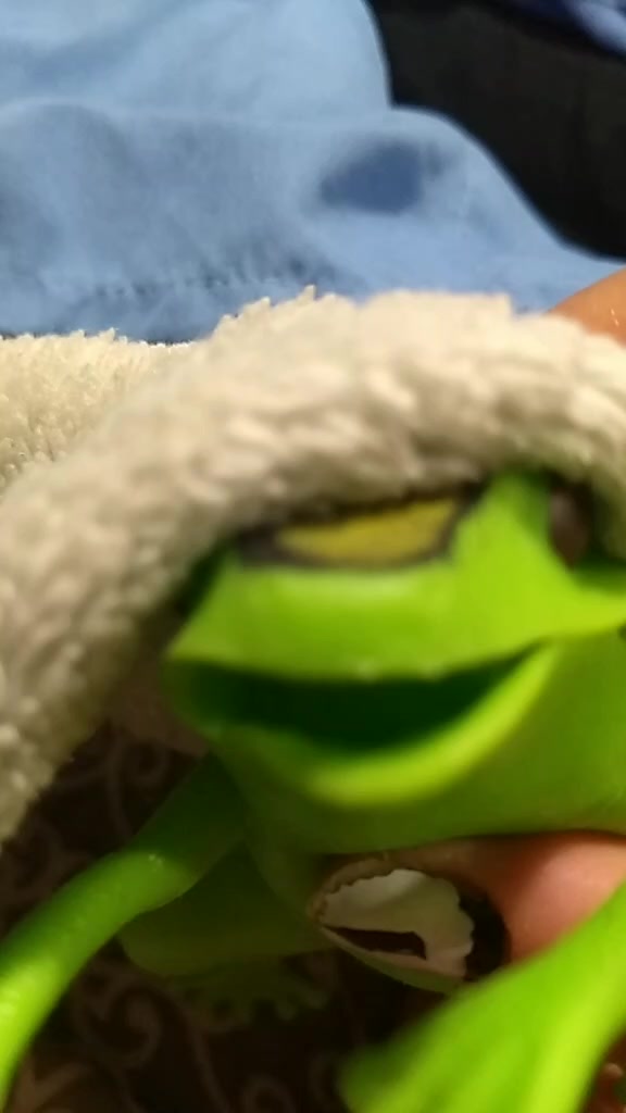 @🐸🐸🐸