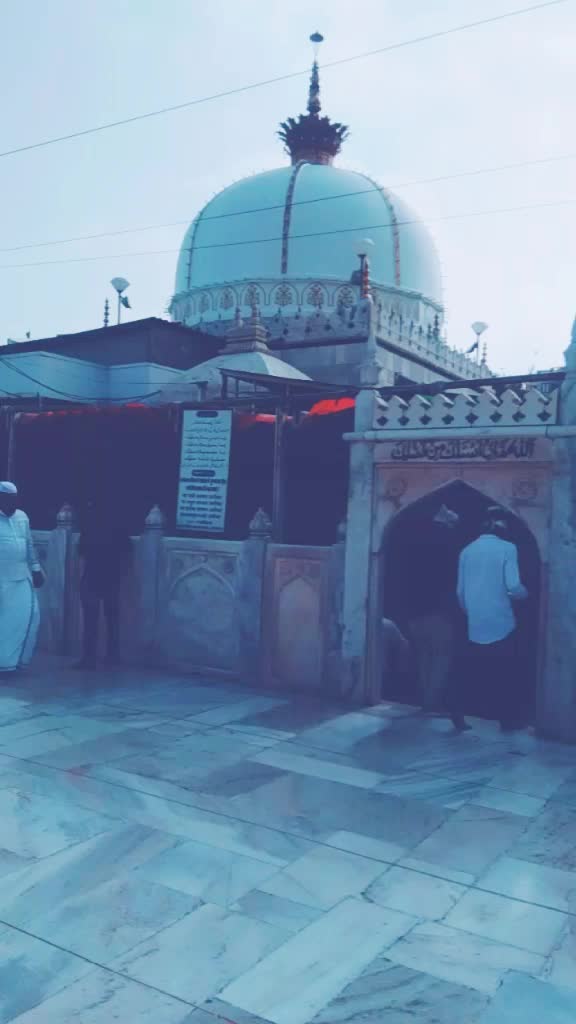 @tauqeershaikh2526