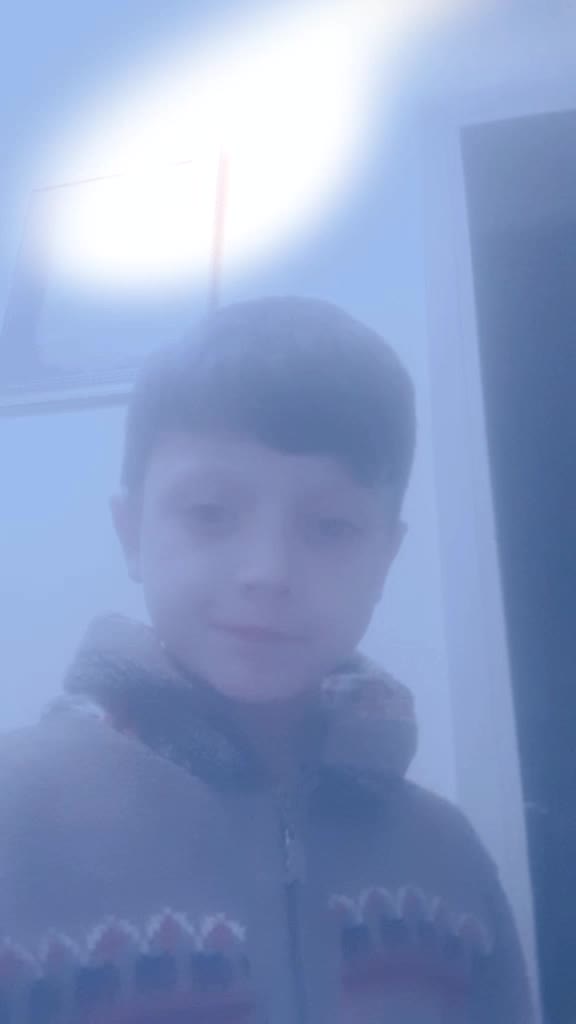@fahribayar