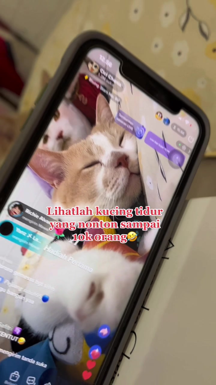 @Pororo Official