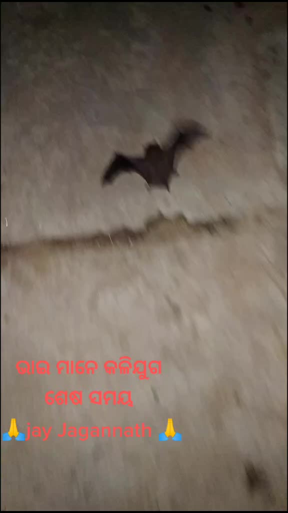 @souravsanuroul