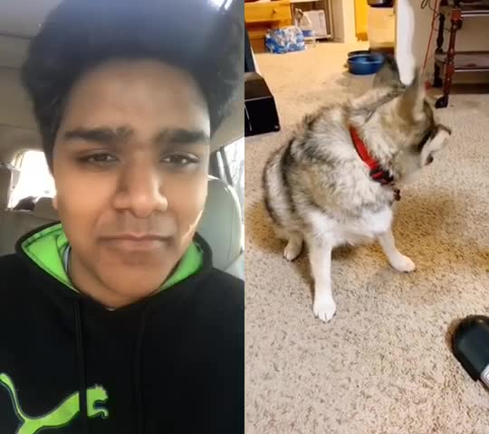 @SunnyK