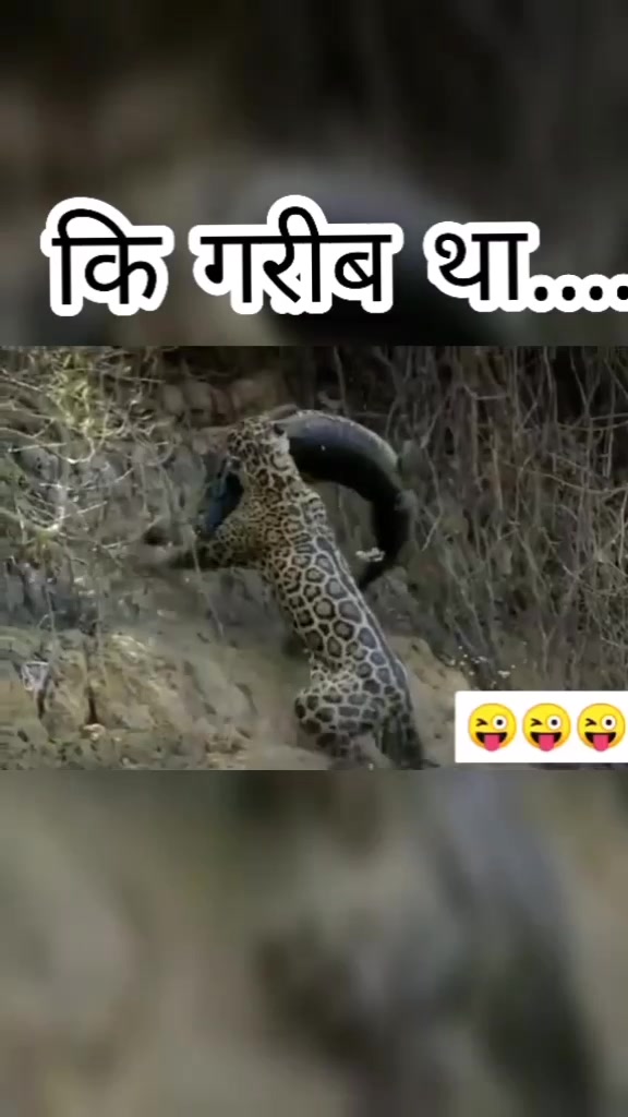 @Anurag