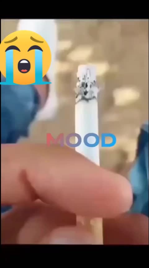 @@_pihu_@