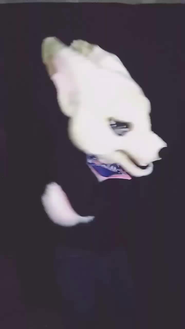 @Y_Screm