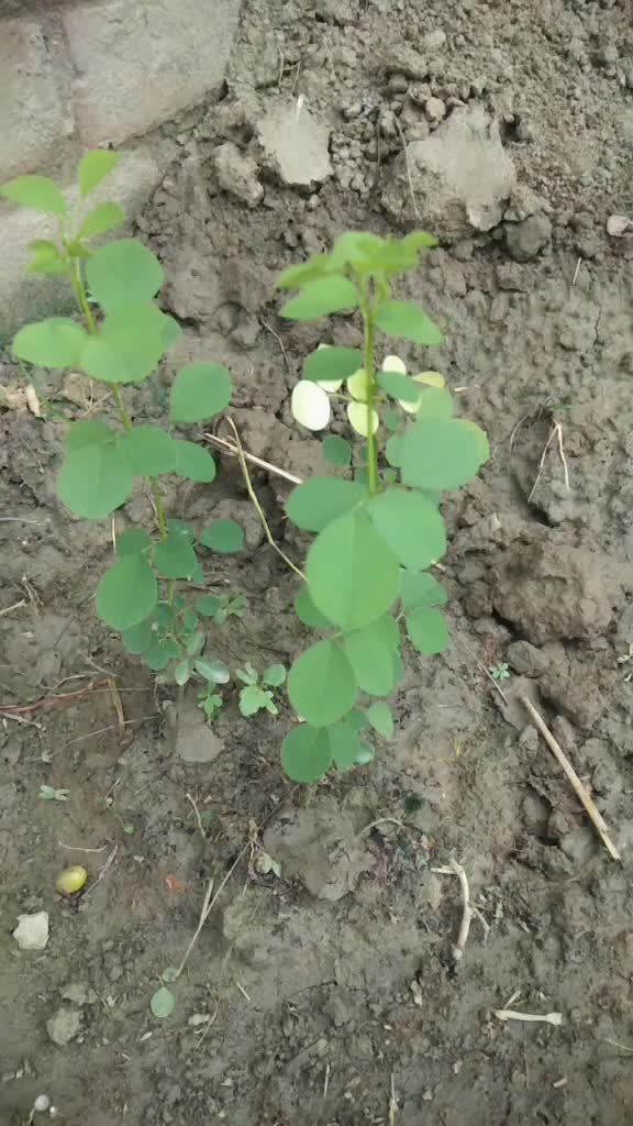 @@mr_nitesh_03