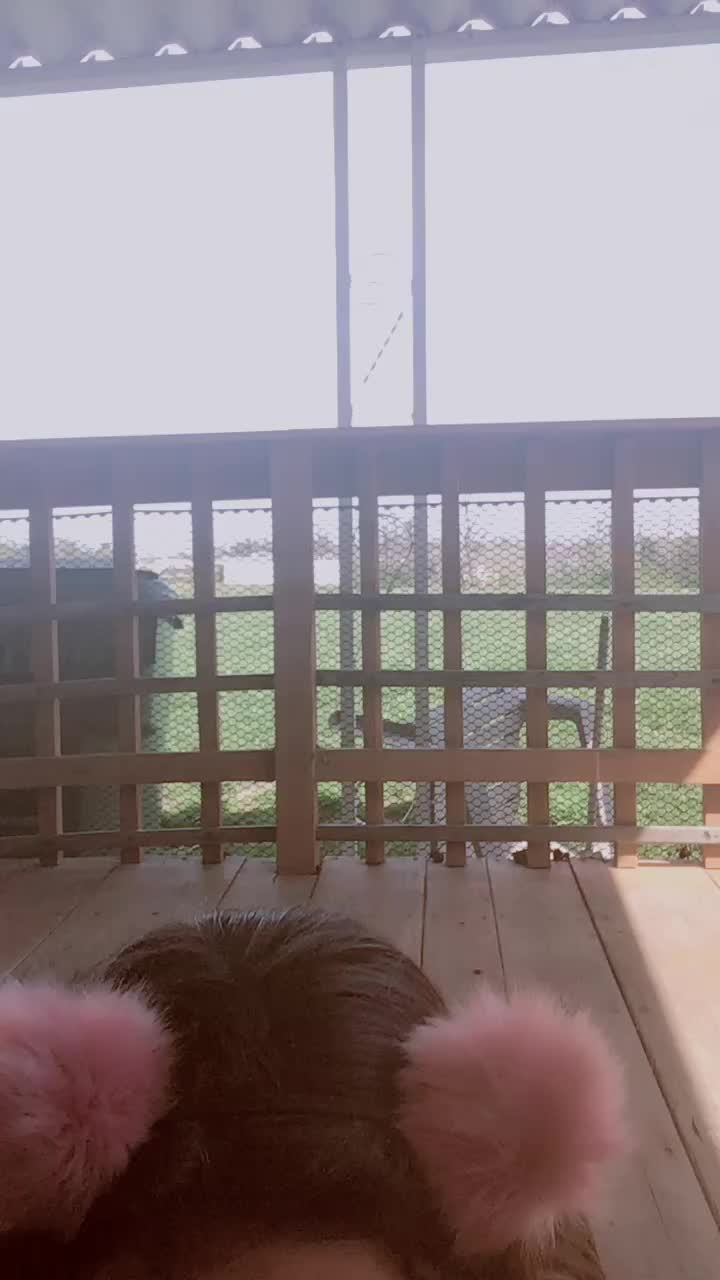 @Whenimboredidotiktok