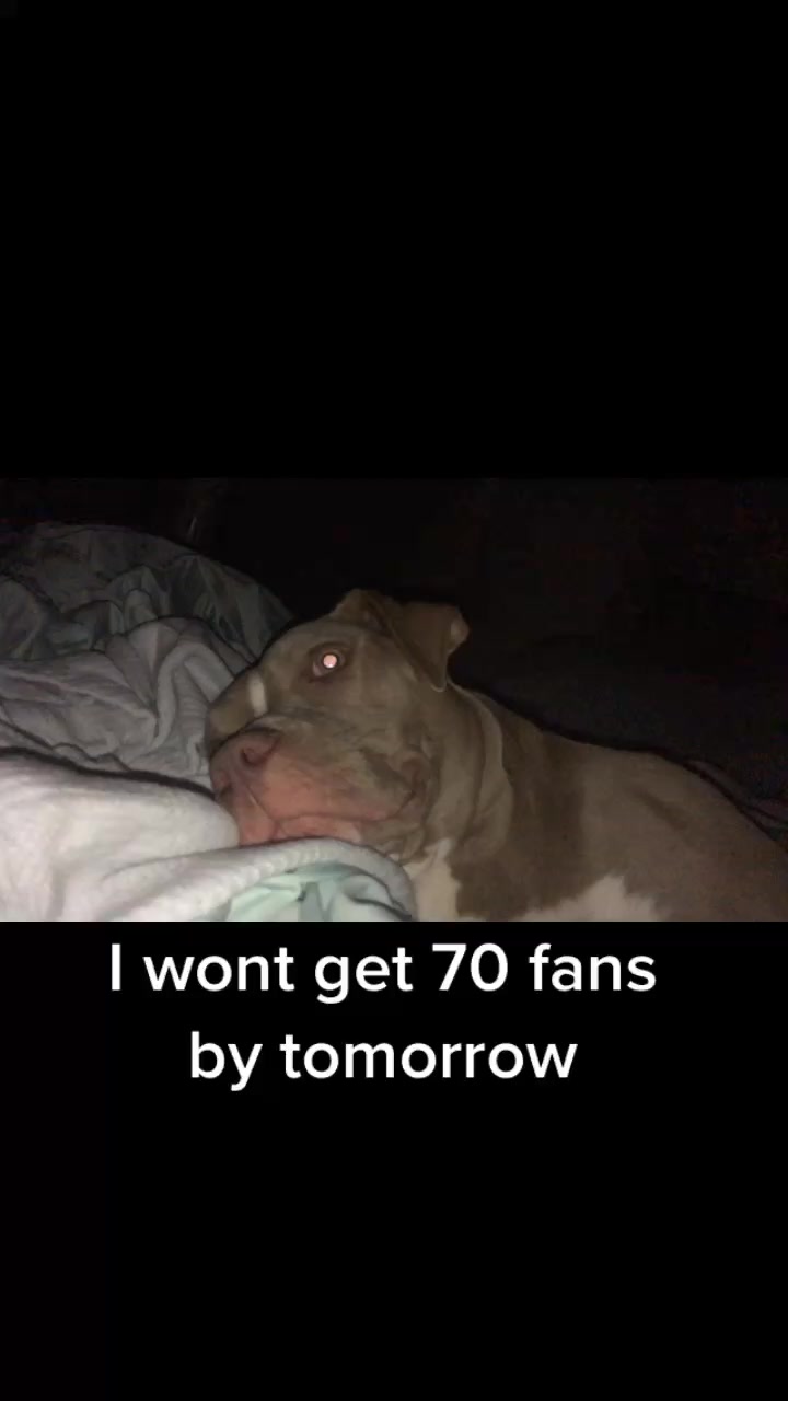 @🥴 Zoey 🥴
