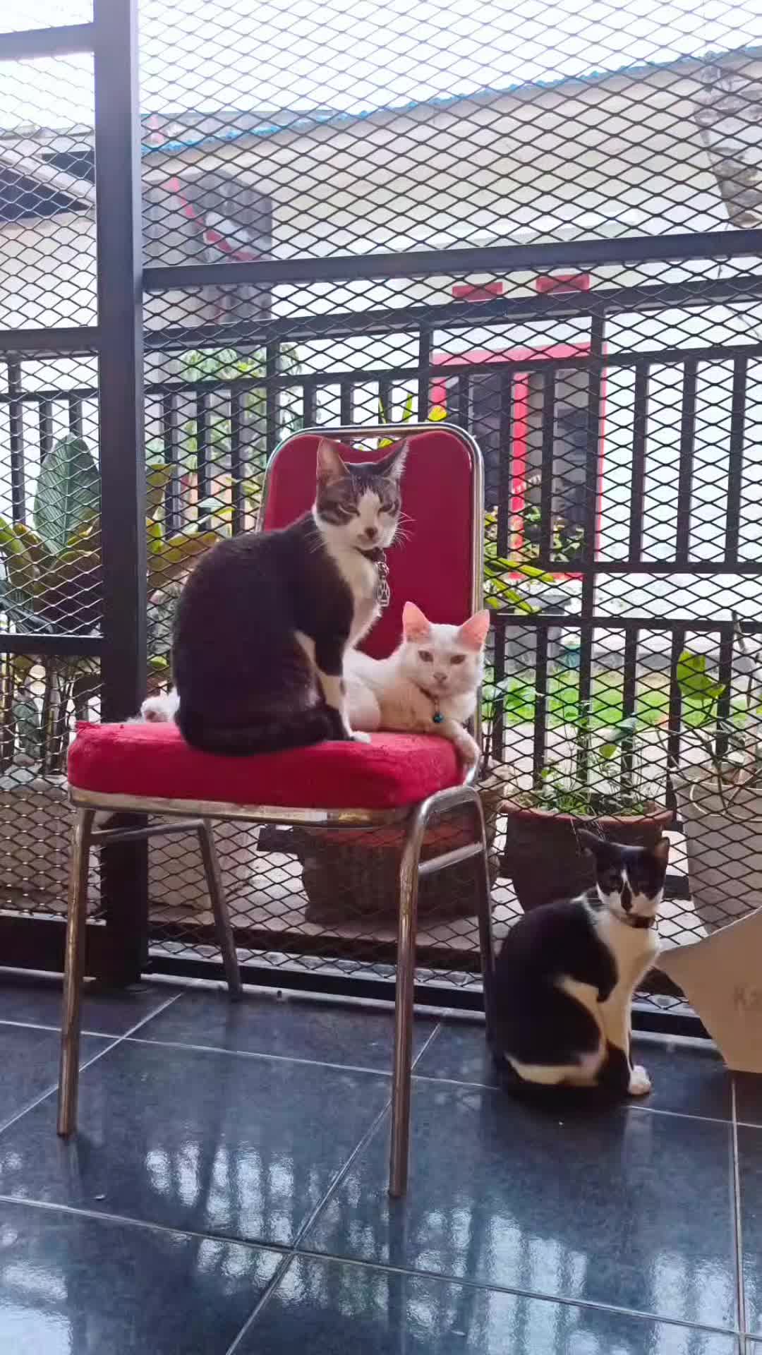 @Keluarga Manja R