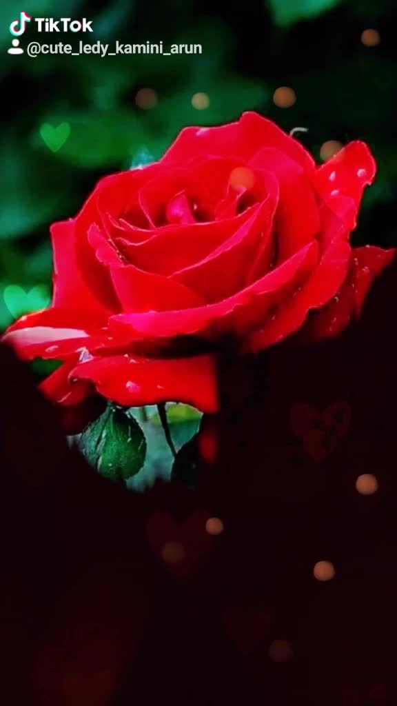 @❤pooja❤