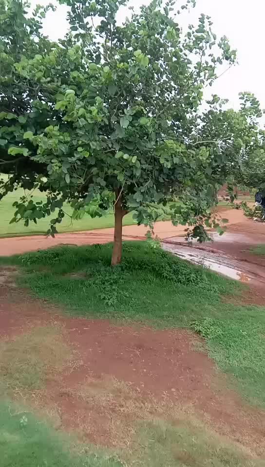 @రైతు బిడ్డ