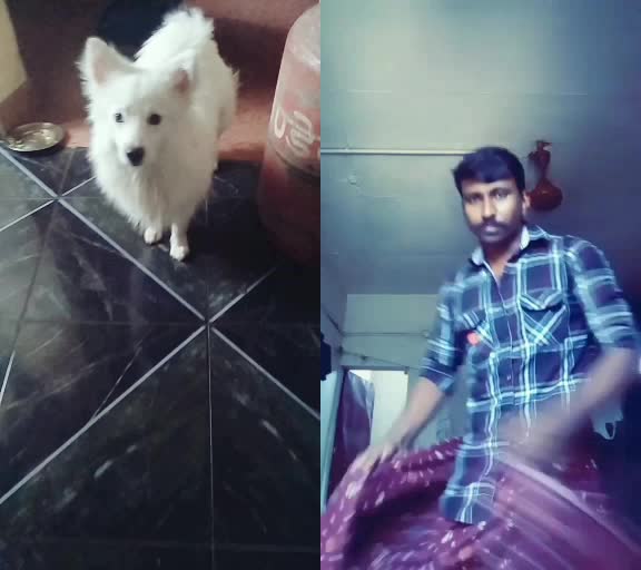@Reni K Philip