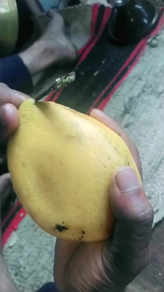 @mintubhardwaj