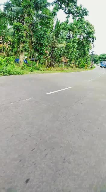 @tony kuttan kalathilpady