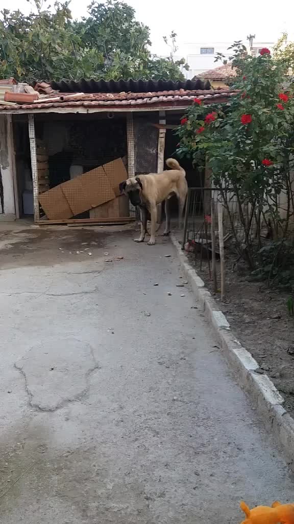 @Münir Sever