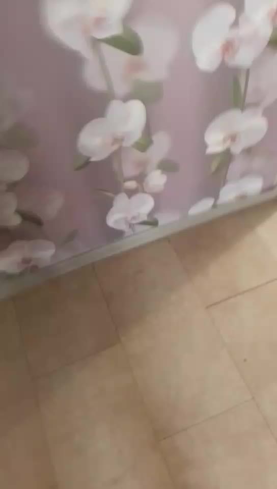 @arseniilaifhac