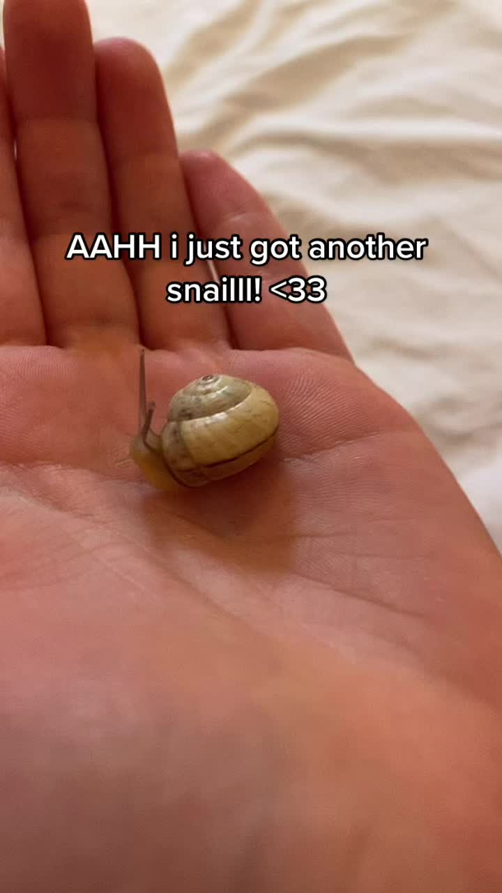 @Peppy the snail <3