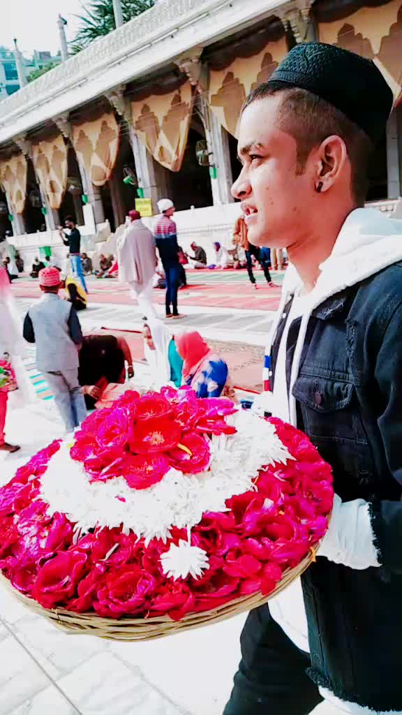 @seju__shaikh__313