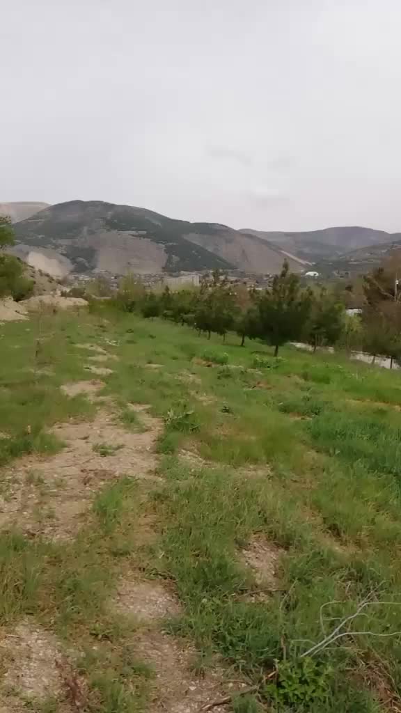 @Asena Asena