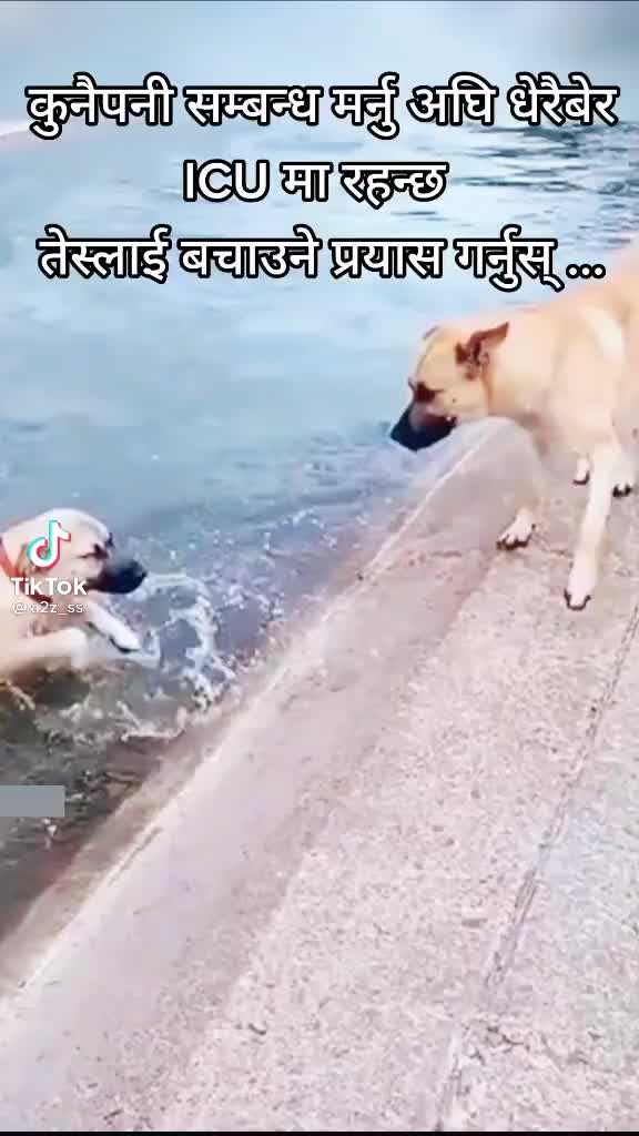@fuchchu.keshar