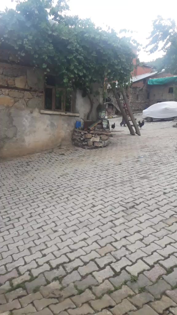 @b&uuml;şramira