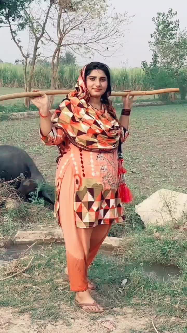 @ayat Zulfiqar